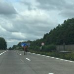 Pferd auf Autobahn A7