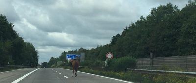 Pferd auf Autobahn A7