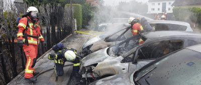 Heckenbrand und ausgebrannte Autos