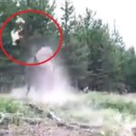 Bison katapultiert Mädchen im Yellowstone-Park in die Luft