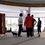 Eine Frau mit einem Hund in einer Moschee in Indonesien