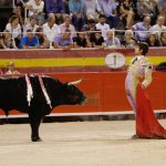 Stierkampf auf Mallorca