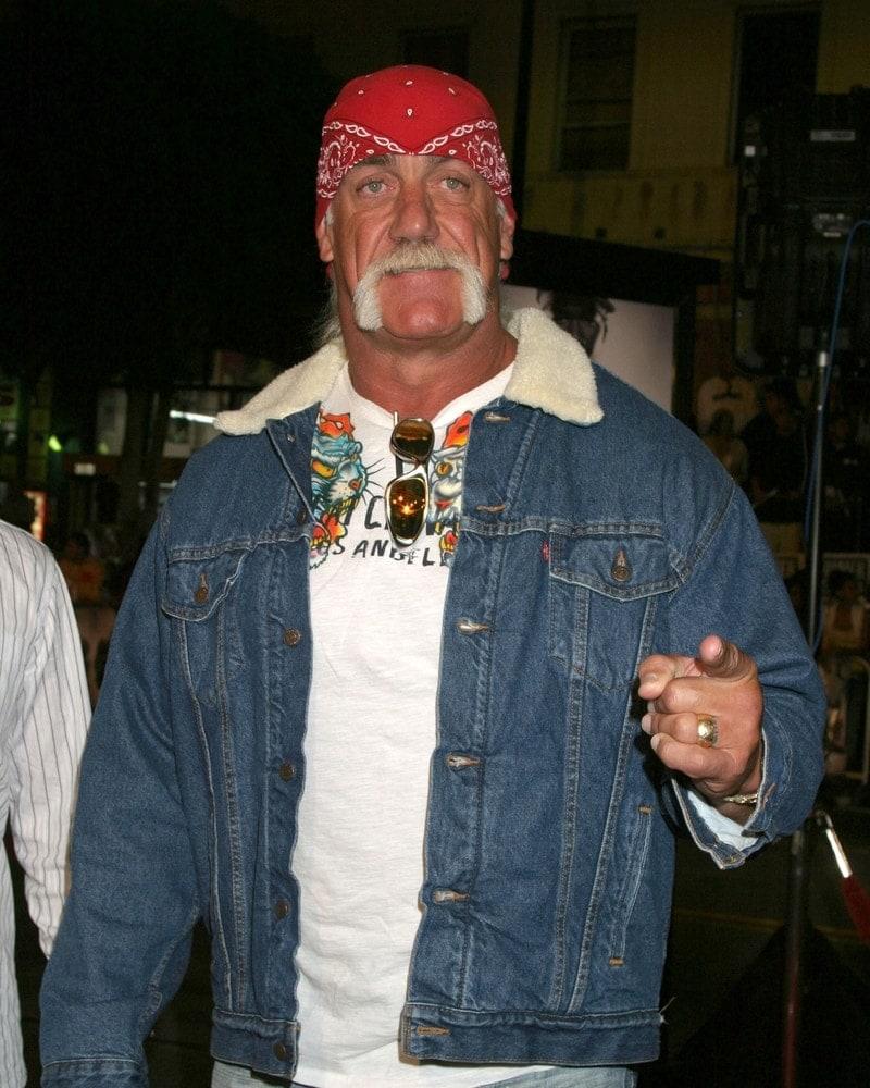 Hulk Hogan 2005
