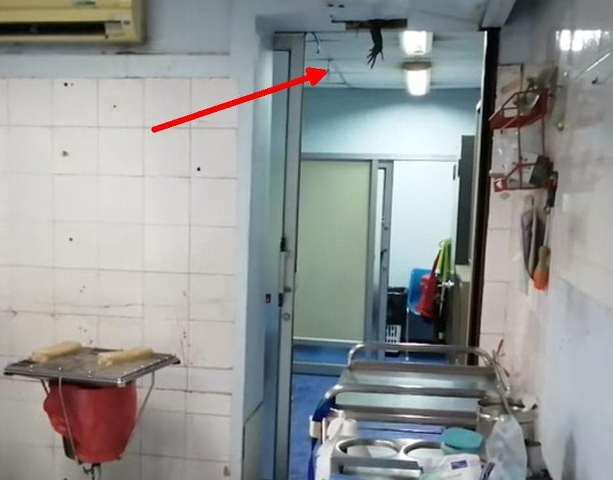 Waran Krankenhaus Decke Thailand
