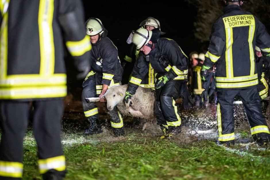 Regen flutet Weide mit 300 Schafen Feuerwehr im Einsatz