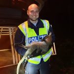Känguru Sonsbeck Polizei