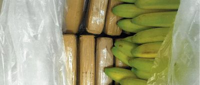 Bananen Drogen Kokain