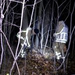 Leiche in Duisburger Wald gefunden