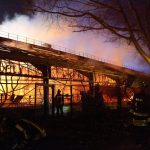 Feuer Brand im Krefelder Zoo