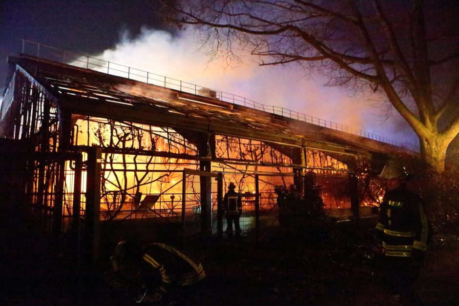 Feuer Brand im Krefelder Zoo