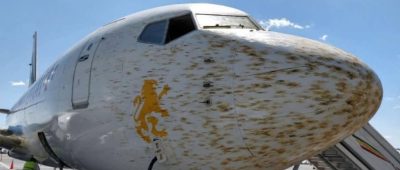 Flugzeug verschmutzt Heuschrecken