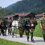 50 Jahre Rosstag Rottach-Egern Maultiere Bundeswehr