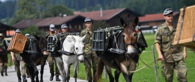 50 Jahre Rosstag Rottach-Egern Maultiere Bundeswehr