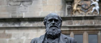 Charles Darwin Statue