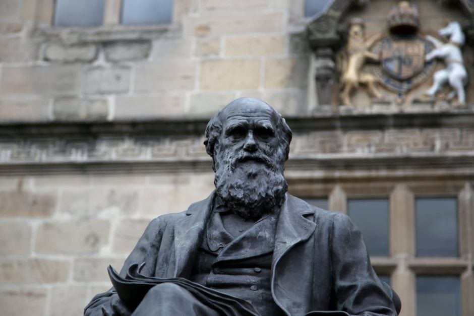 Charles Darwin Statue