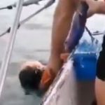 Angelica Gaitan Meer Verschwunden aufgetaucht