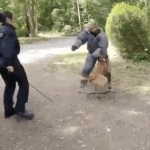 Leipzig Polizei schlägt Hund