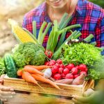 Gemüse-Kiste Bio-Essen