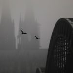 Köln Wetter Nebel