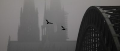Köln Wetter Nebel