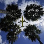 Flug über Palmen