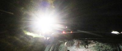Reh kracht durch Frontscheibe von Auto: Beifahrer stirbt