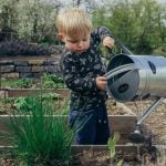Bewässerungsmethoden: So könnt ihr auch im Urlaub eure Pflanzen gießen