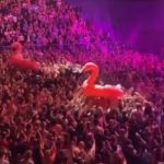 Querbeat Köln Konzert Flamingos