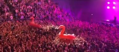 Querbeat Köln Konzert Flamingos