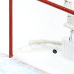 Eishockey Platzhalter Symbolfoto