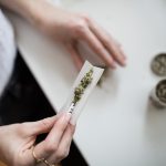 Cannabis, Gras, Marihuana und Co.: Wie wirkt es, wie lange ist es im Blut und Urin nachweisbar und welche Cannabis-Pflanze macht stoned und high?