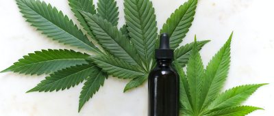 Cannabis Legalisierung: Alle Infos zur Legalisierung von Hanf, Marihuana und Co. unter der Ampel-Koalition