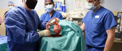 Herztransplantation