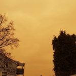 Blutroter Regen in Deutschland - Saharastaub März 2022