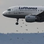 Flugzeug Lufthansa Landung