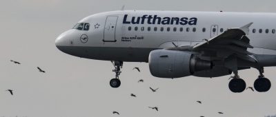 Flugzeug Lufthansa Landung