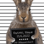 Polizei Düsseldorf Festnahme Osterhase