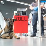 Spürhund Zoll Flughafen