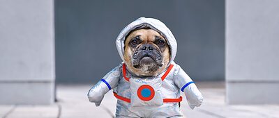 Astronaut Hund Karneval lustig Weltall