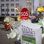 Greenpeace Protest in Bonn