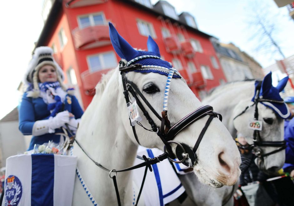 Neue Leitlinien für Pferde in Karnevalszügen