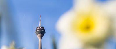 Frühling in Düsseldorf
