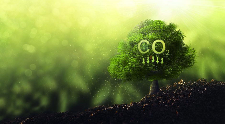 Co2 Emissionskonzept