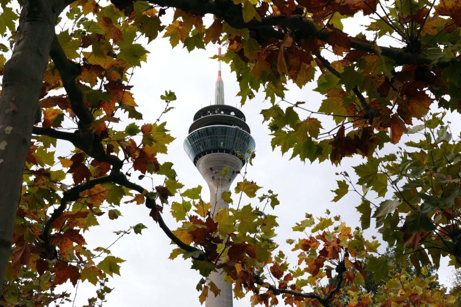 Herbst Düsseldorf Fernsehturm