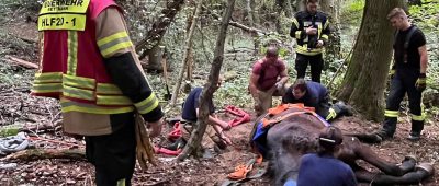 30 Feuerwehrleute befreien Pferd aus Bachbett