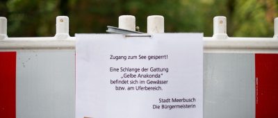Wegen einer zwei Meter langen Würgeschlange hat die Stadt Meerbusch bei Düsseldorf einen beliebten Ausflugssee gesperrt.  Foto: dpa