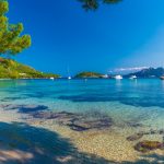 10) Playa Formentor Foto: Shutterstock/Balate Dorin